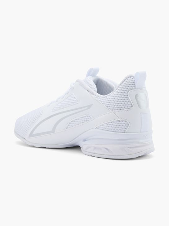 TAZON MODERN D2 Buty treningowe