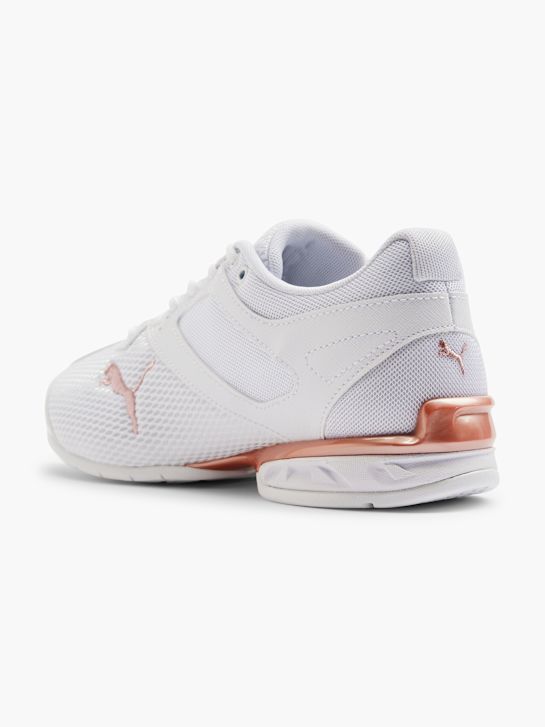 TAZON 6 SHIMMER WN'S Buty do biegania