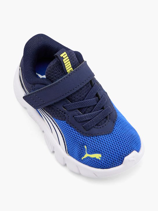 FLEXFOCUS MODERN AC+ INF Buty treningowe