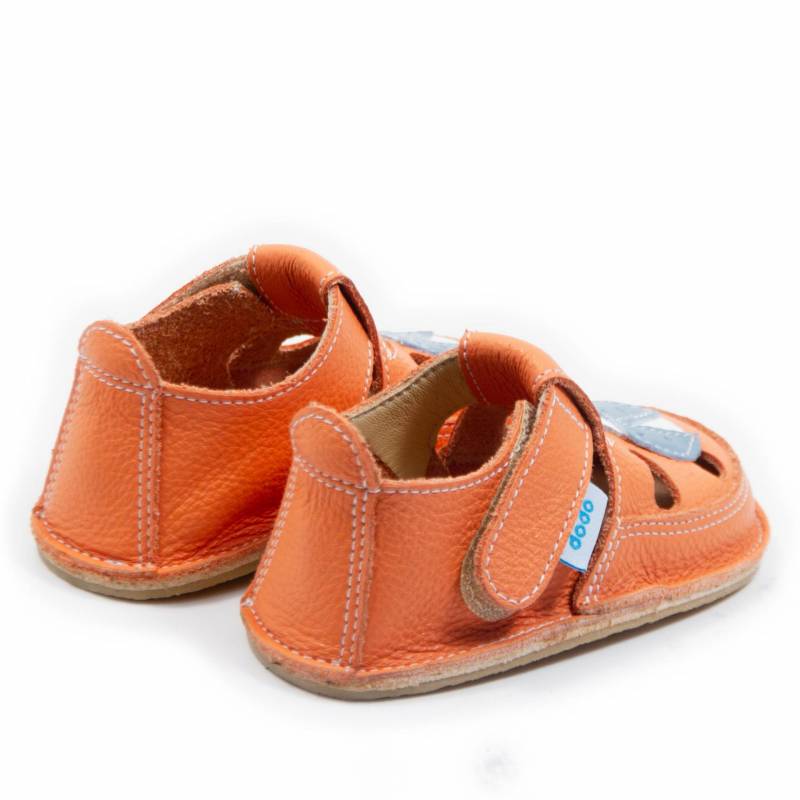 Sanda Buburuza/ Corai