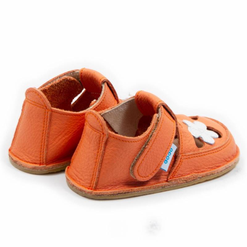 Sanda Floare de camp/ Corai