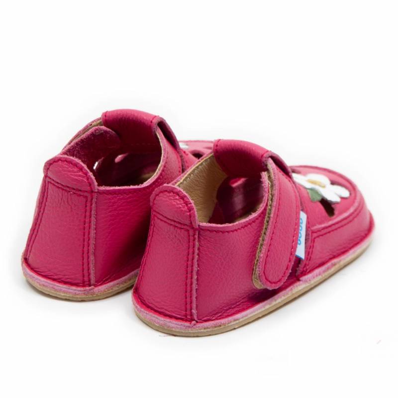 Sanda Wild Flower/ Orhideea