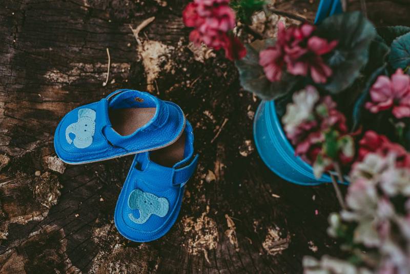 Pantof Elefantel/ Albastru-Bb