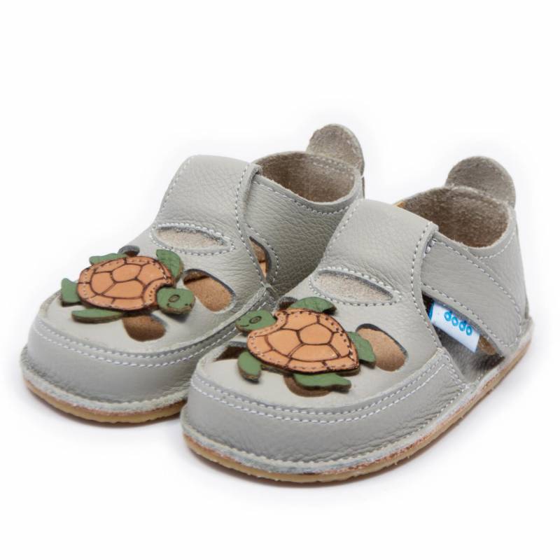 Sanda Testoasa/ Grey