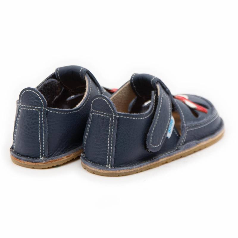 Sanda Avion/ Smokey Sky