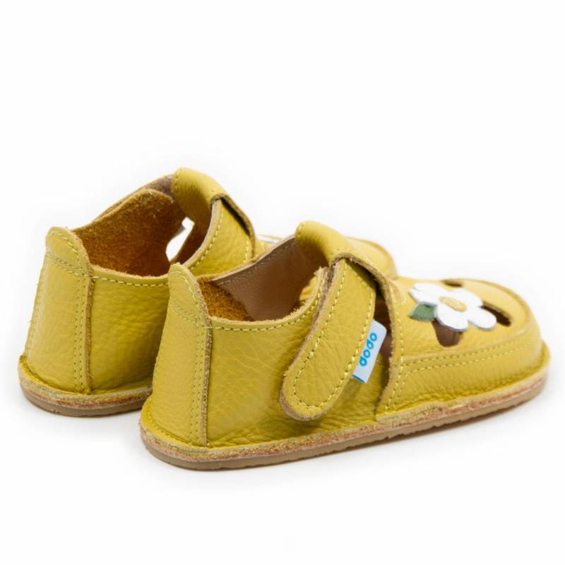 Sanda Wild Flower/Galben