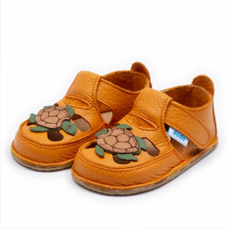 Sanda Turtle/ Mandarina