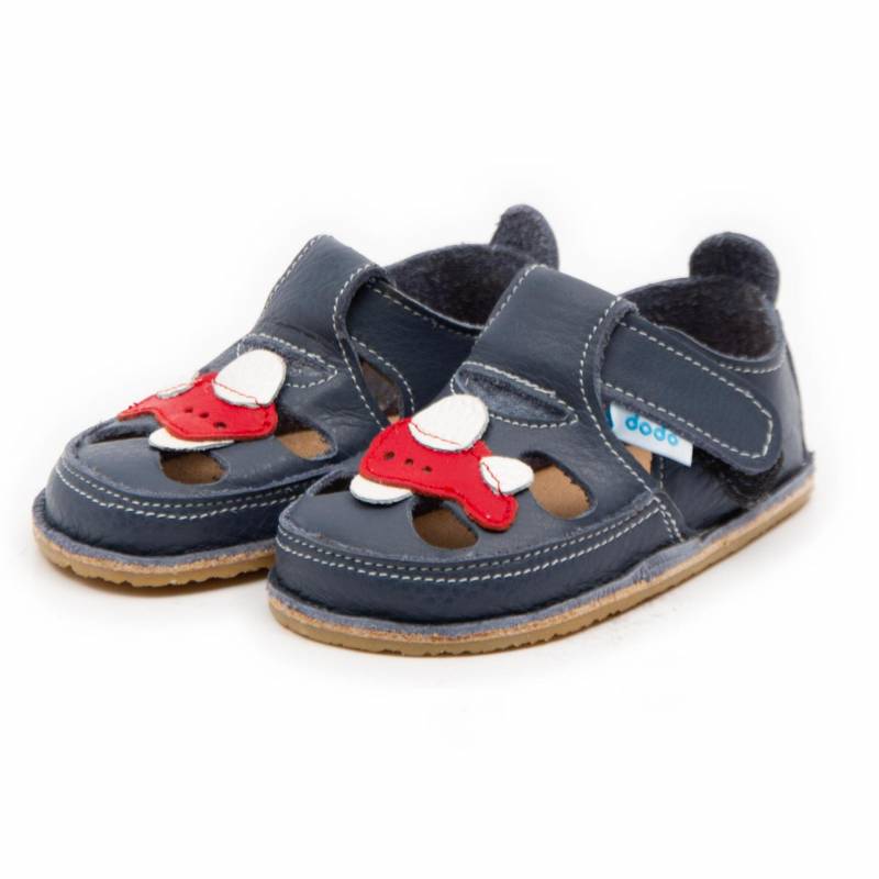 Sanda Avion/ Smokey Sky