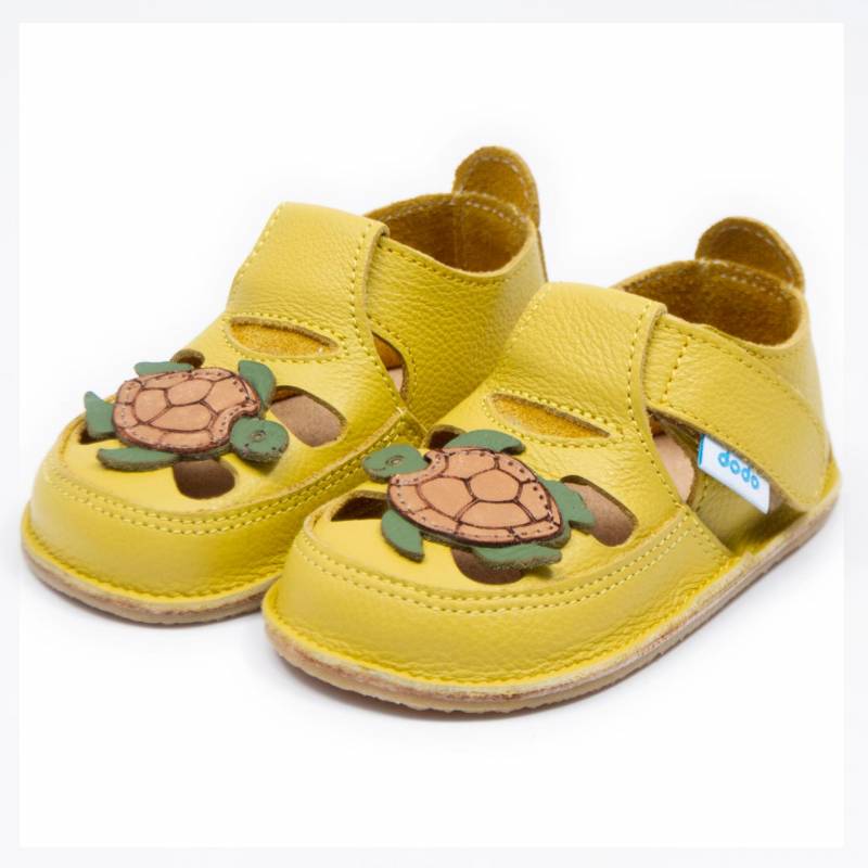 Sanda Turtle/ Galben