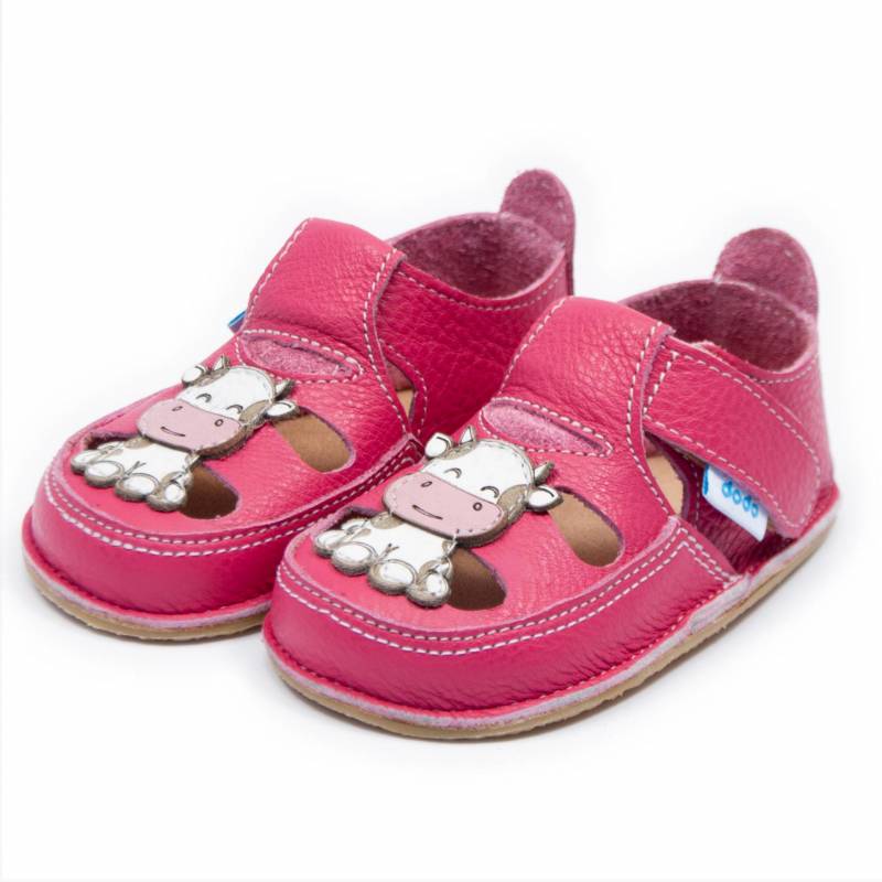 Sanda Milky/ Orhideea