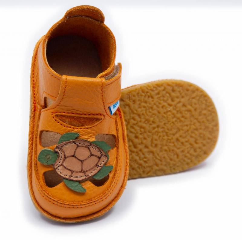 Sanda Turtle/ Mandarina