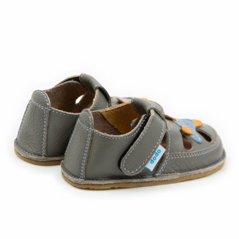 Sanda Avion/ Cafea cu lapte