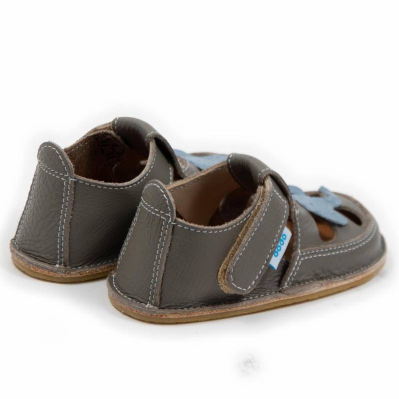 Sanda Elefantel/ Cafea cu lapte