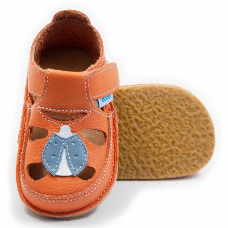 Sanda Buburuza/ Corai