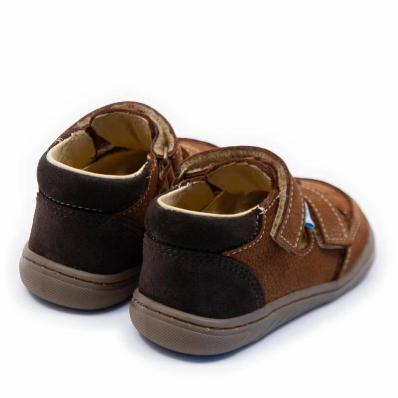 Sanda Sunrise Cinnemon