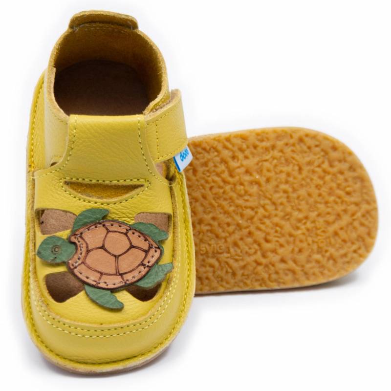 Sanda Turtle/ Galben