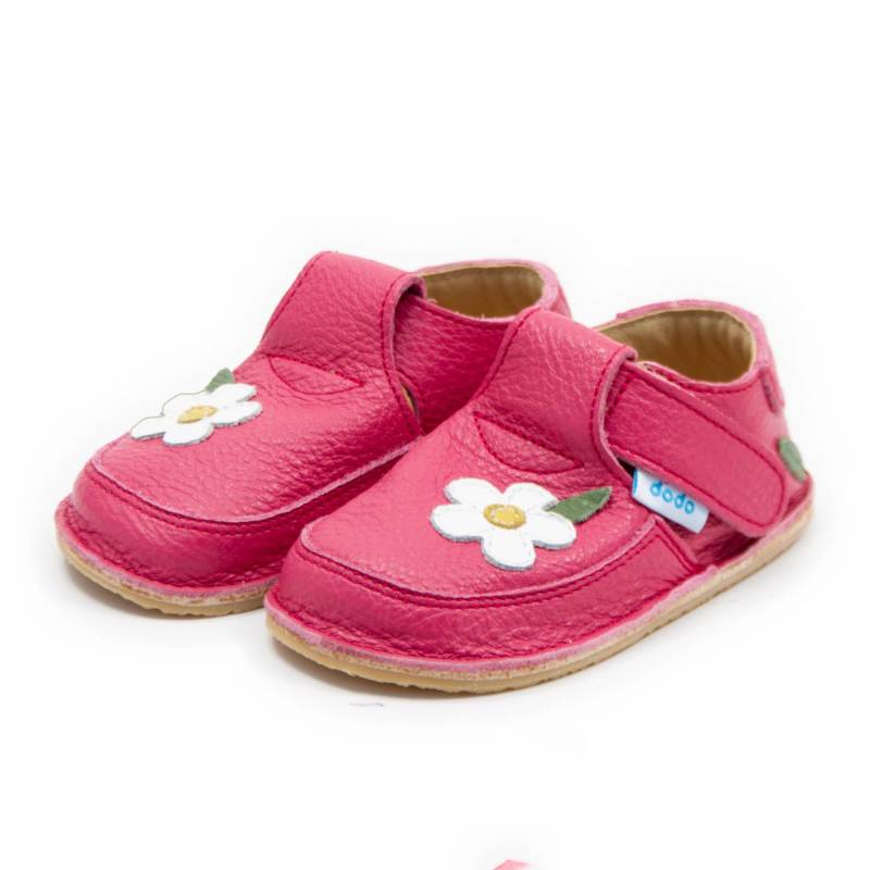 Pantof White Wild Flower/ Orhideea