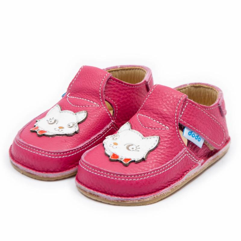 Pantof Miau/ Orhideea