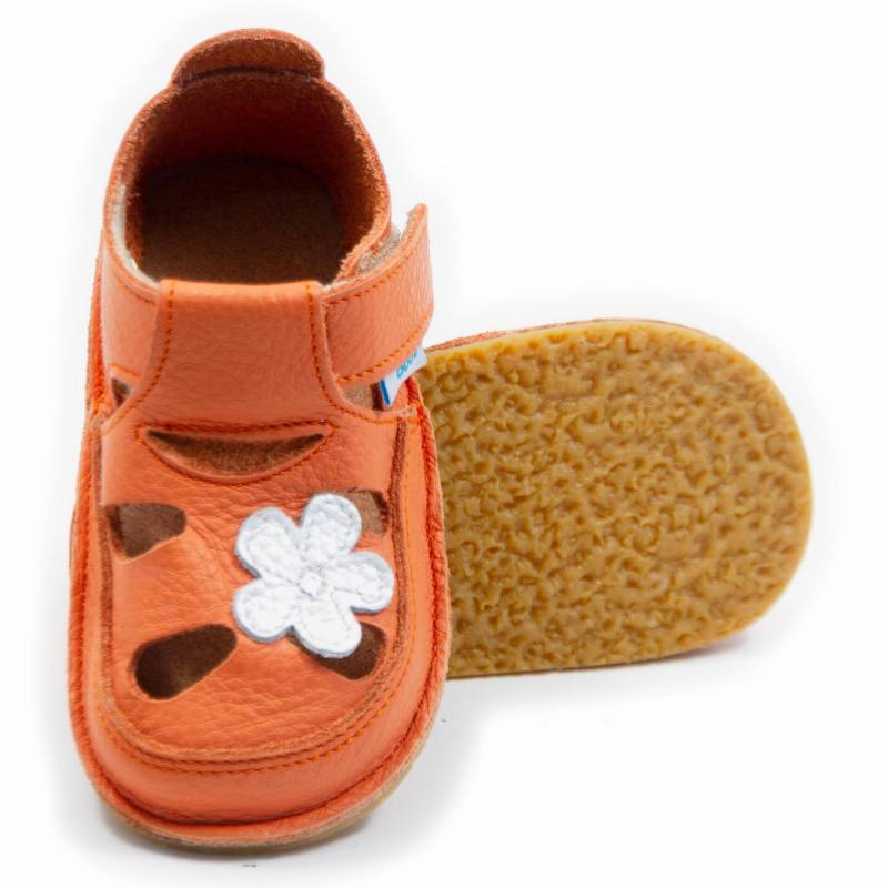 Sanda Floare de camp/ Corai