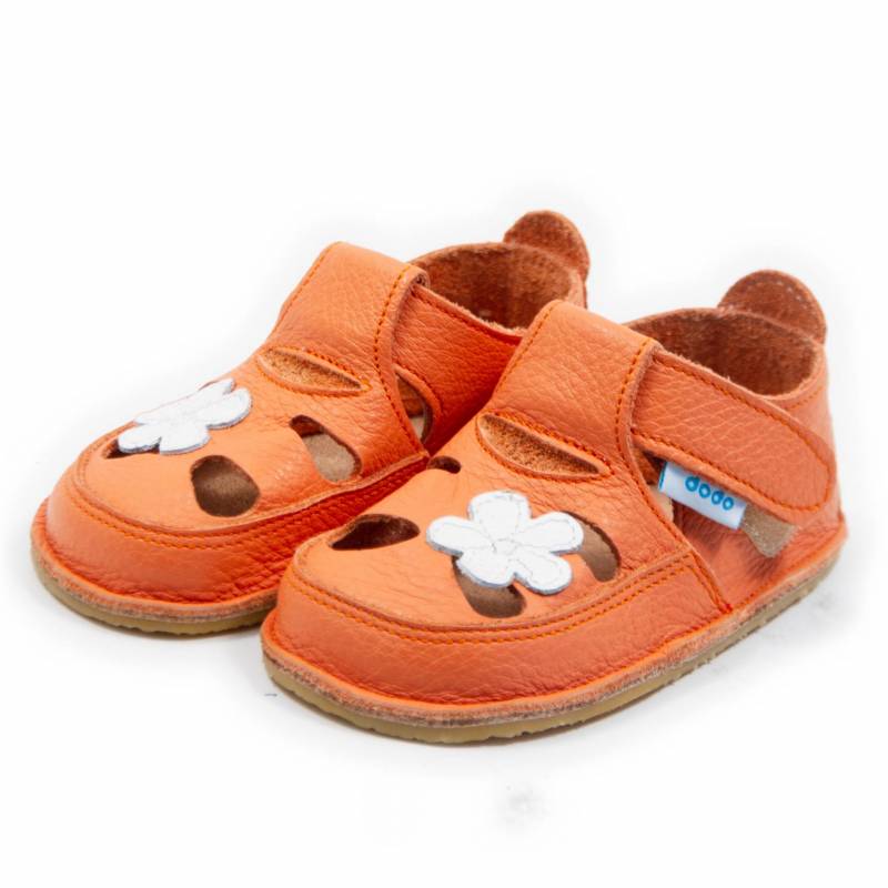 Sanda Floare de camp/ Corai