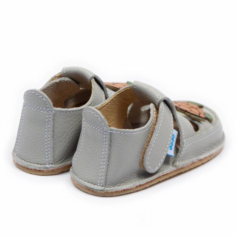 Sanda Testoasa/ Grey