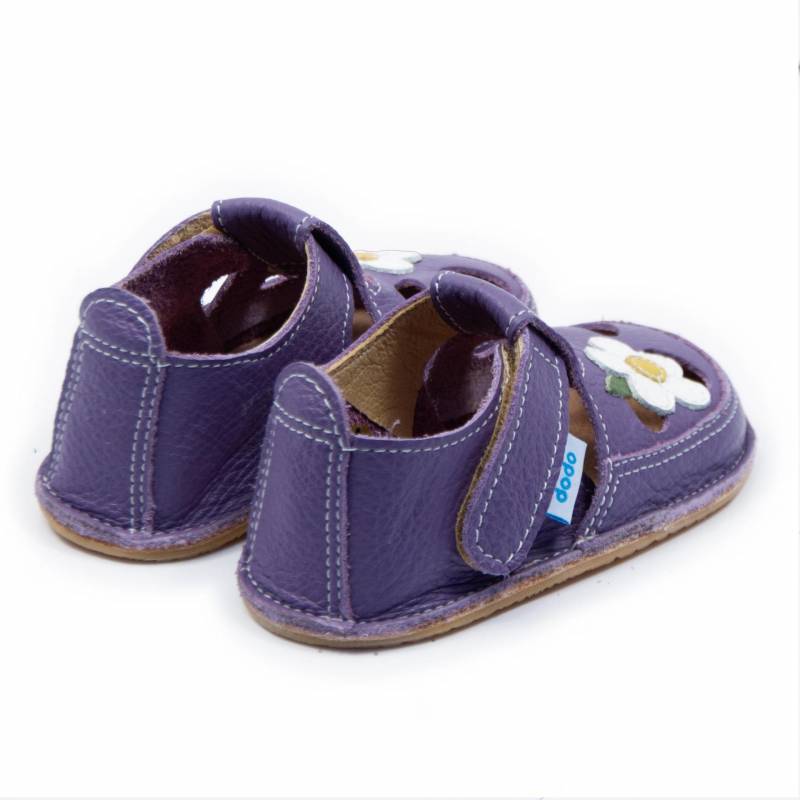 Sanda Wild Flower/ Violet