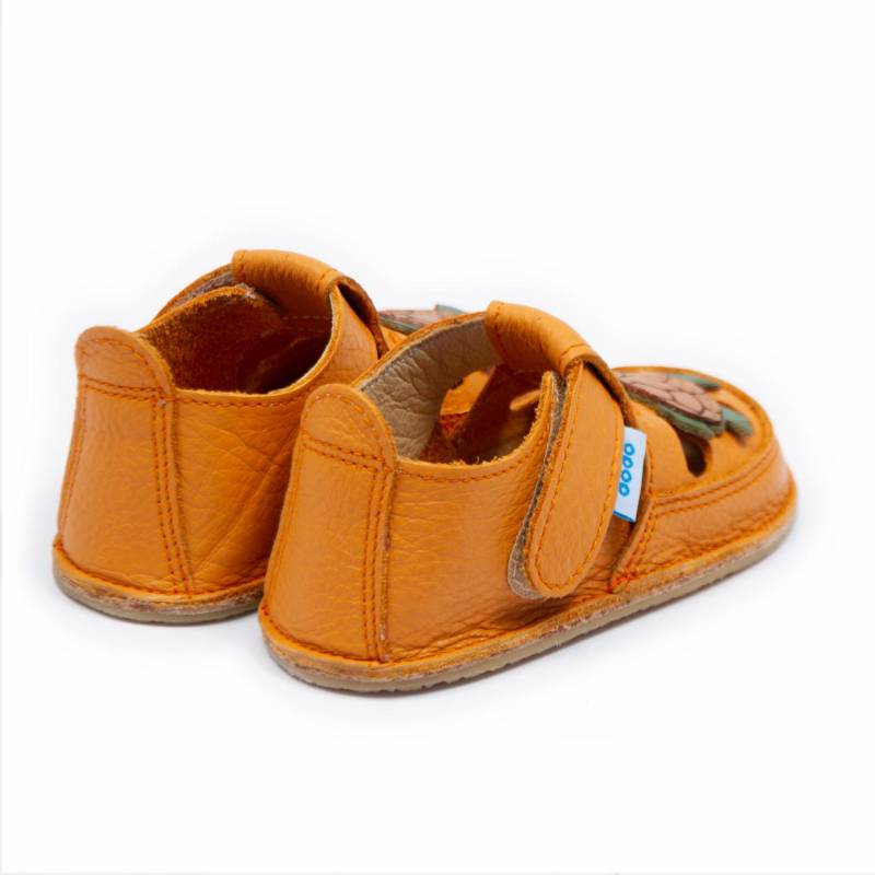 Sanda Turtle/ Mandarina