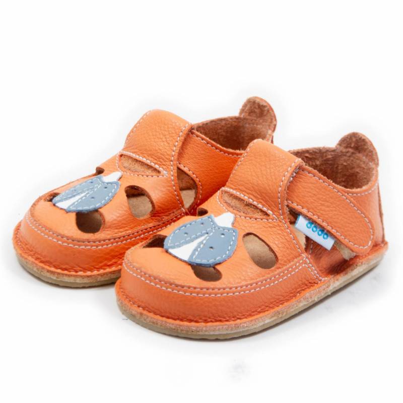 Sanda Buburuza/ Corai