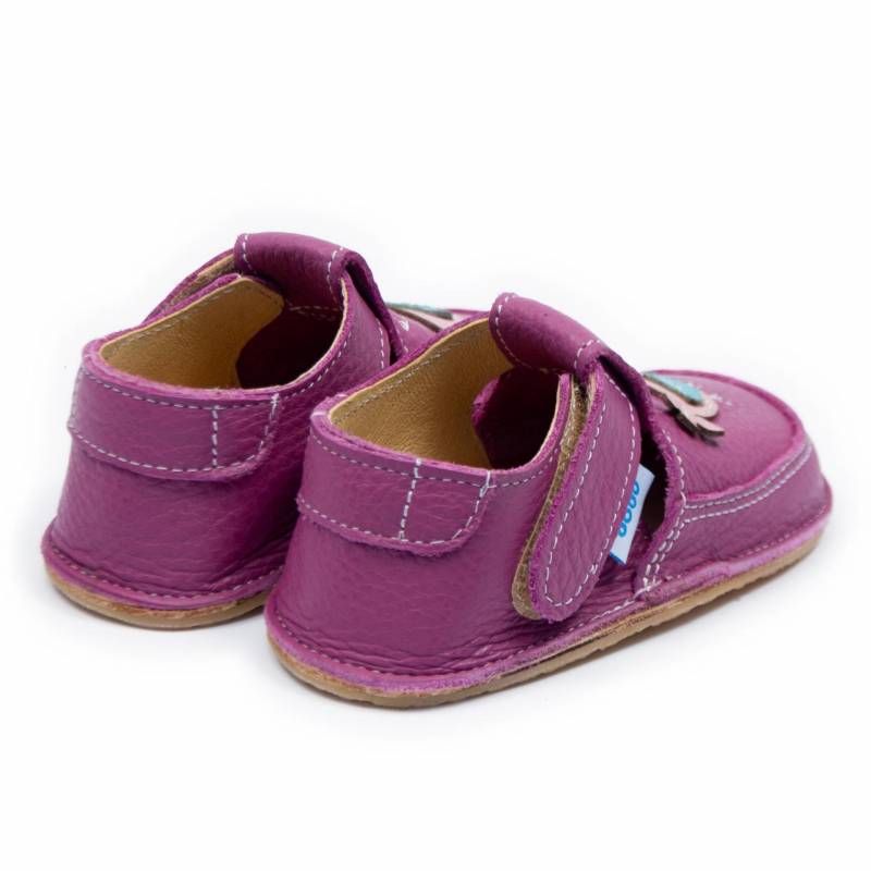 Pantof Vrabiuta/ Petunia