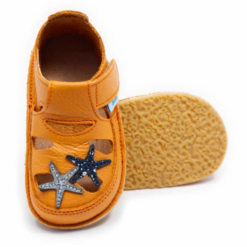 Sanda Starfish/ Mandarina
