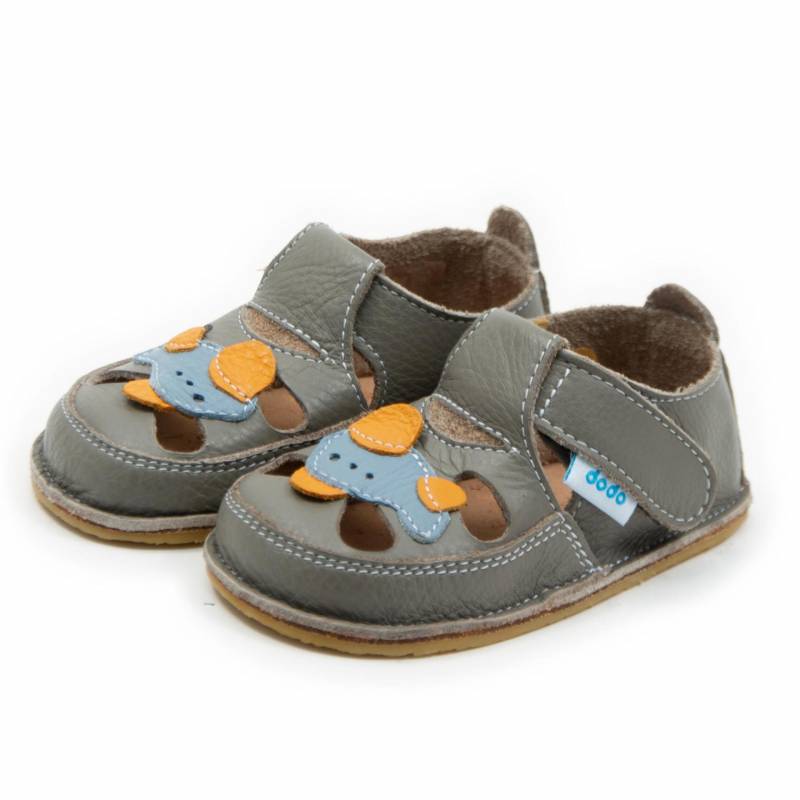 Sanda Avion/ Cafea cu lapte