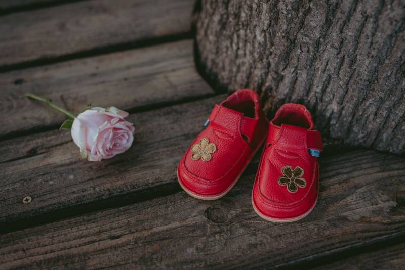 Pantof Floare de camp/Rosu-Gr