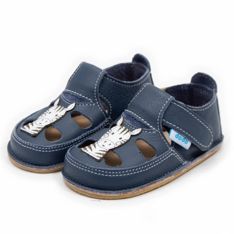 Sanda Zebra/ Smokey Sky