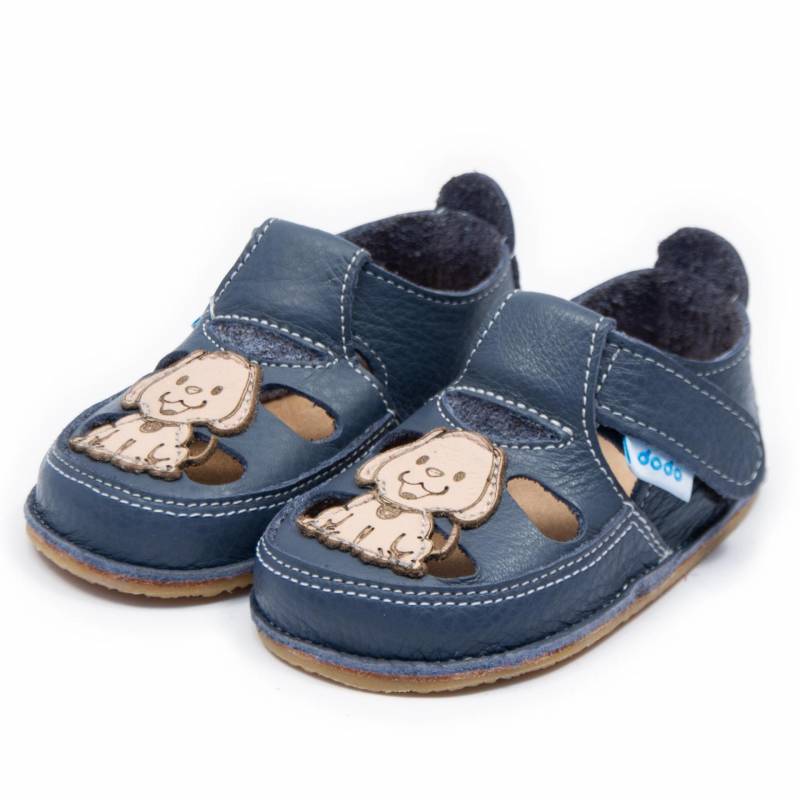 Sanda Puppy/ Smokey sky