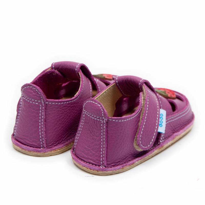 Sanda Capsuna/ Petunia