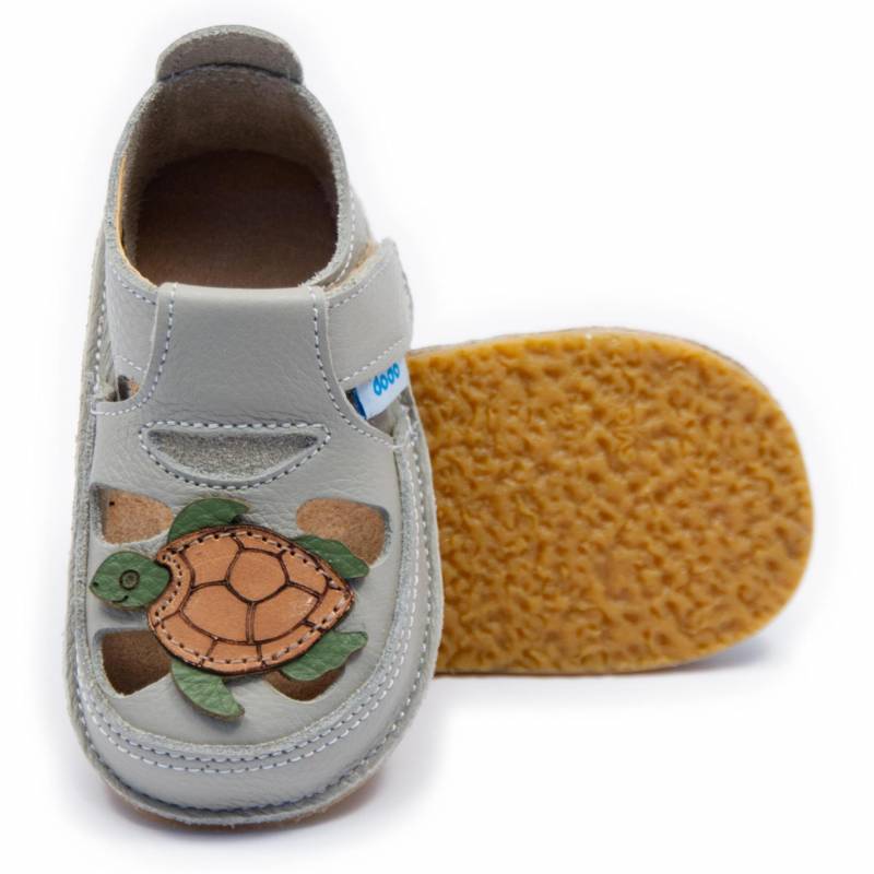 Sanda Testoasa/ Grey