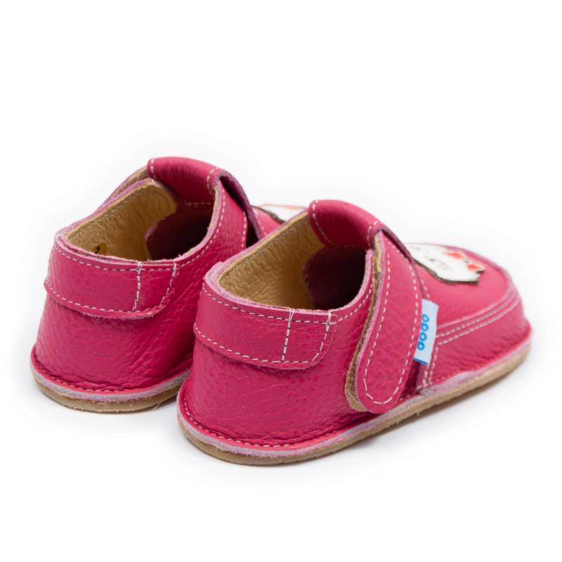 Pantof Miau/ Orhideea