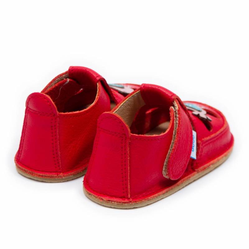 Sanda Vrabiuta/ Rosu