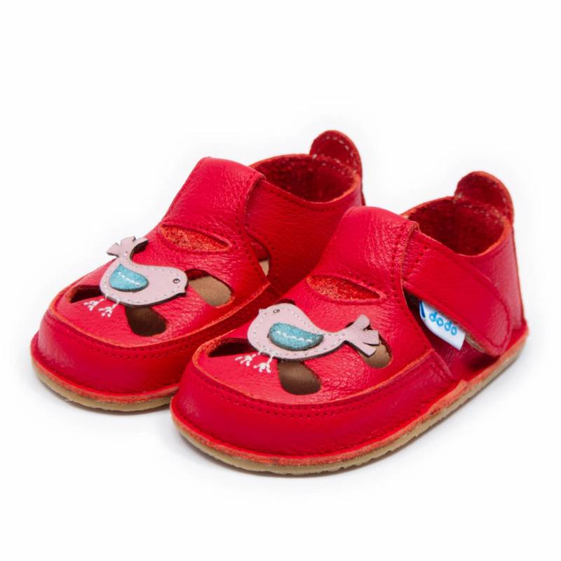 Sanda Vrabiuta/ Rosu