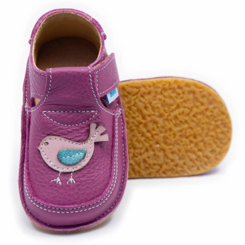 Pantof Vrabiuta/ Petunia