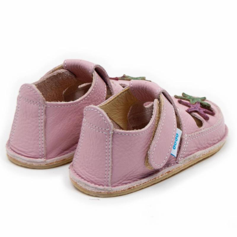 Sanda Starfish/ Cameo