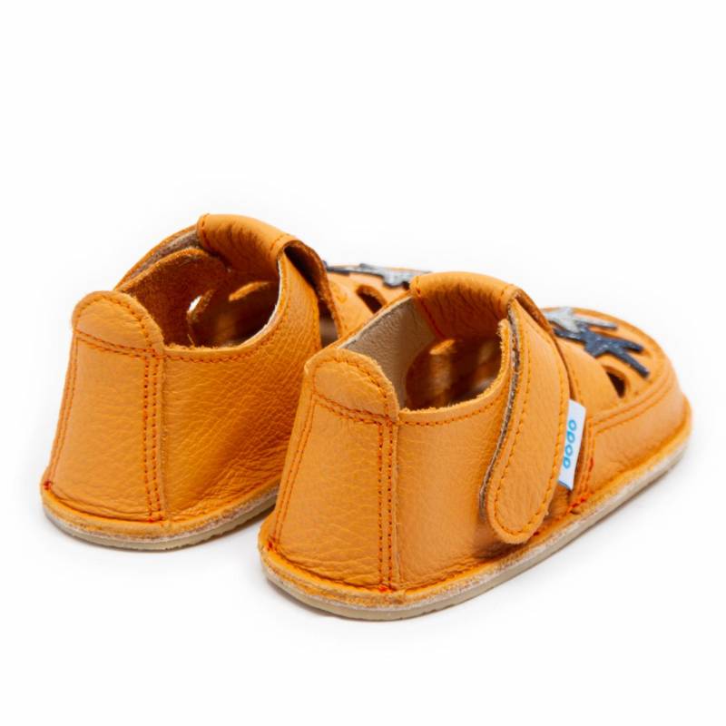 Sanda Starfish/ Mandarina