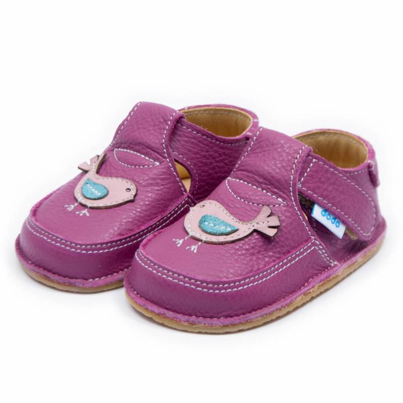 Pantof Vrabiuta/ Petunia