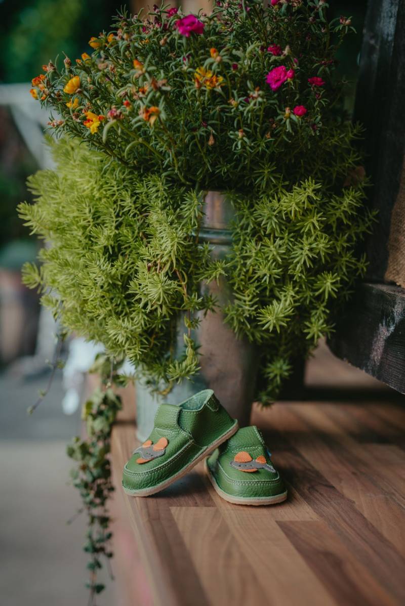 Pantof Avion/ Verde-Ca-Po