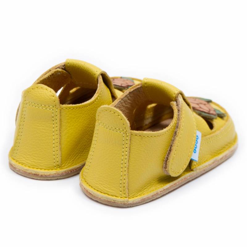 Sanda Turtle/ Galben