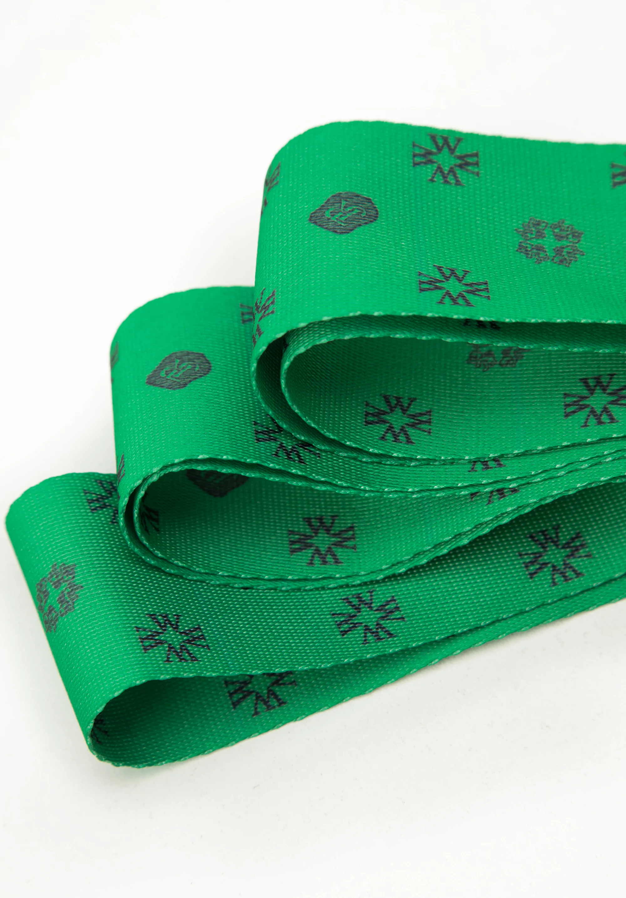 Pas zabezpieczający bagaż w monogram