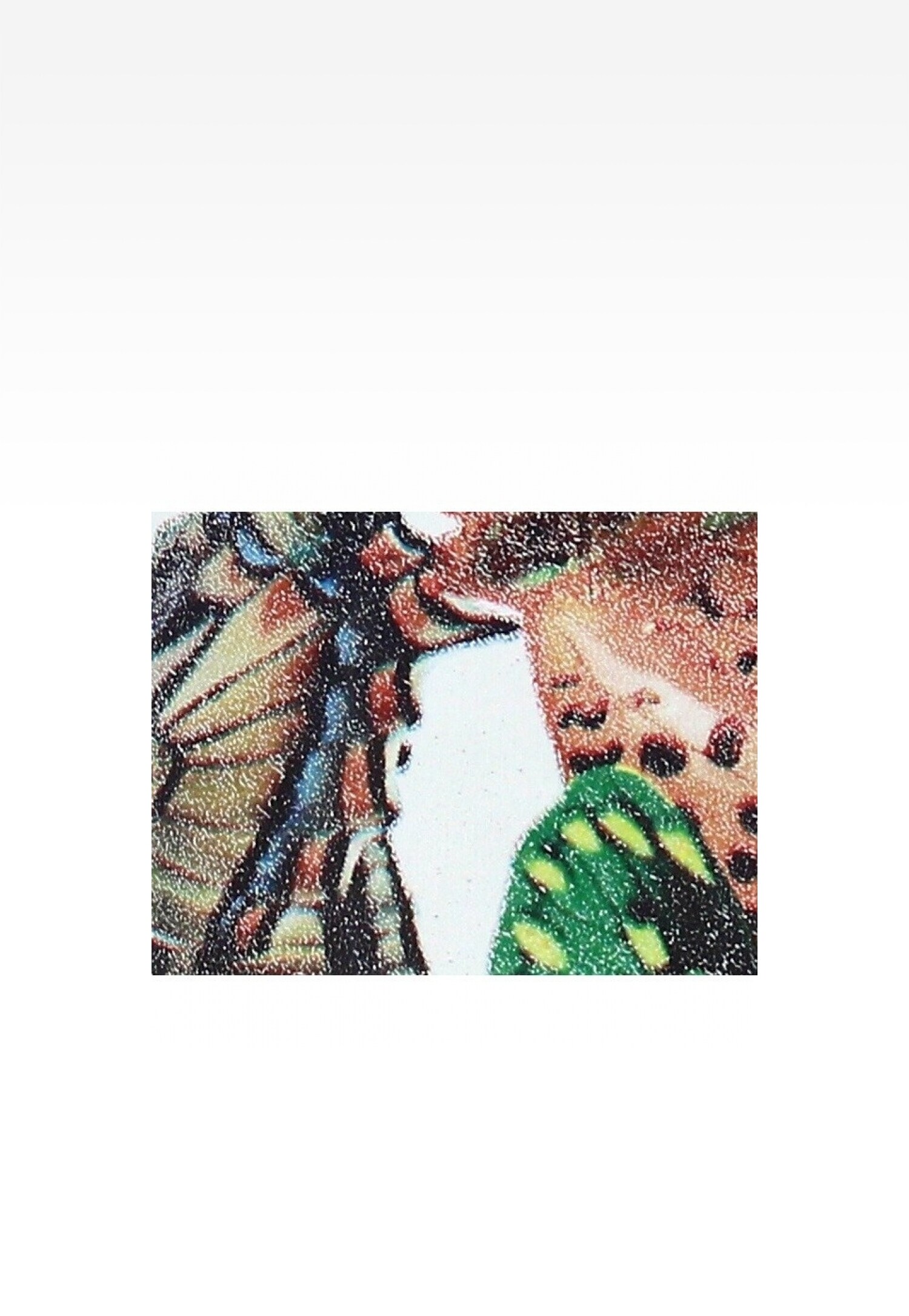 Trzewiki BARTEK T-87364/1GK, dla dziewcząt, multi