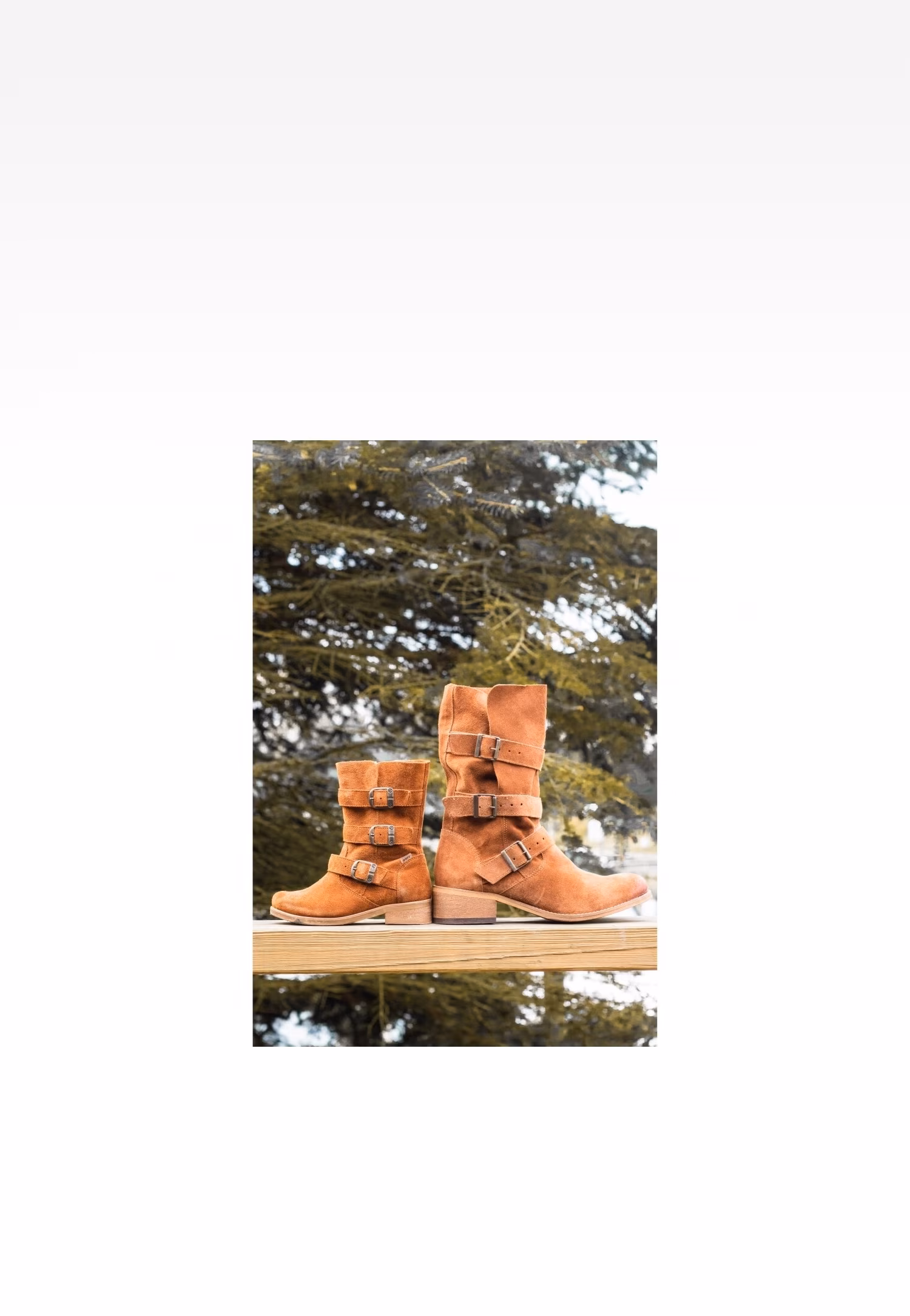 Botki Wojas x Bartek 8440263, dla dziewcząt, brązowy