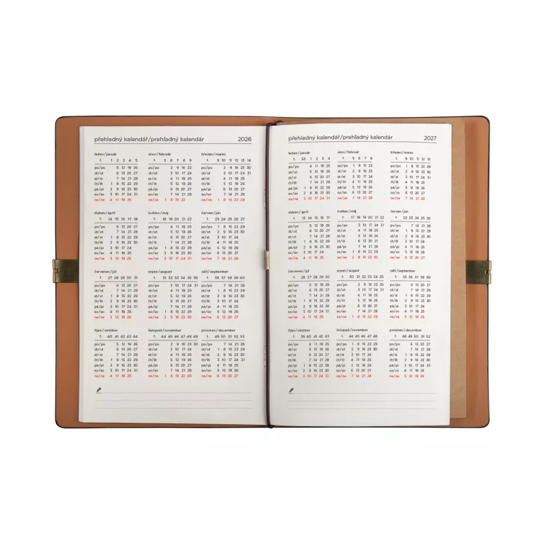 Luxusní diář - Pampelišky