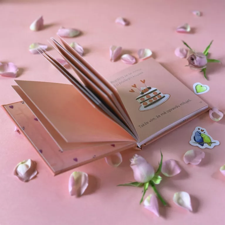 Minikniha - Důvody, proč Tě miluji